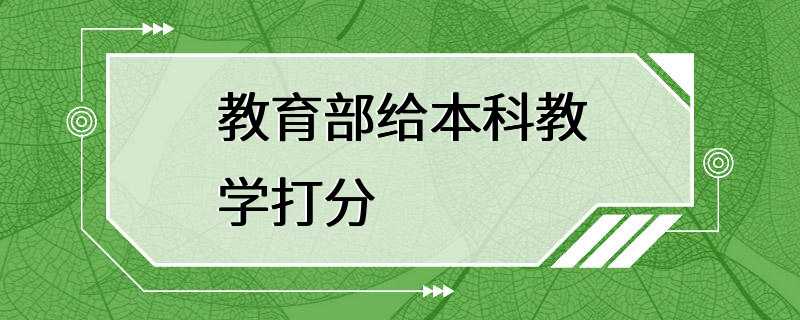 教育部给本科教学打分