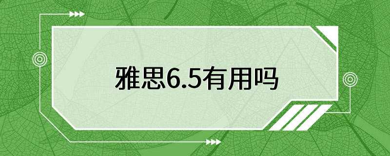 雅思6.5有用吗