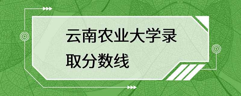 云南农业大学录取分数线