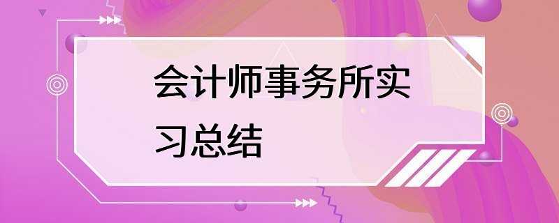 会计师事务所实习总结