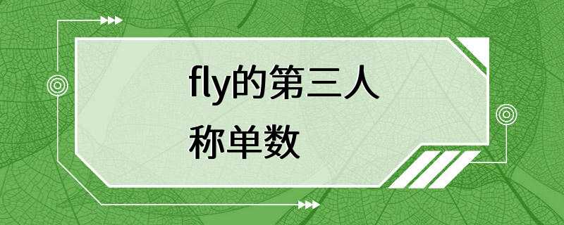 fly的第三人称单数