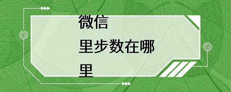 微信里步数在哪里