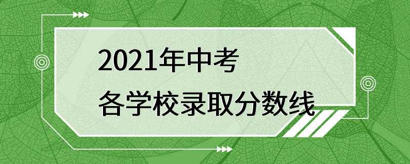 2021年中考各学校录取分数线