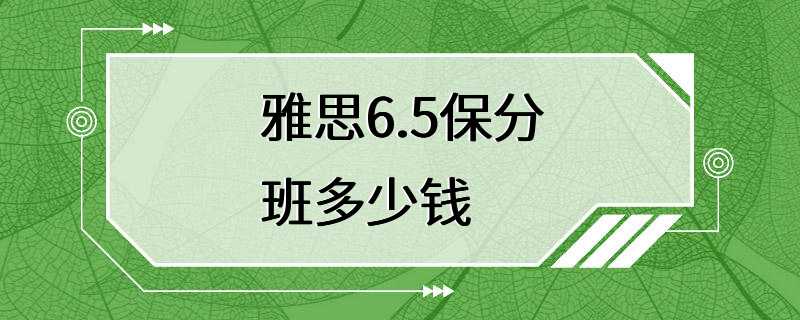 雅思6.5保分班多少钱