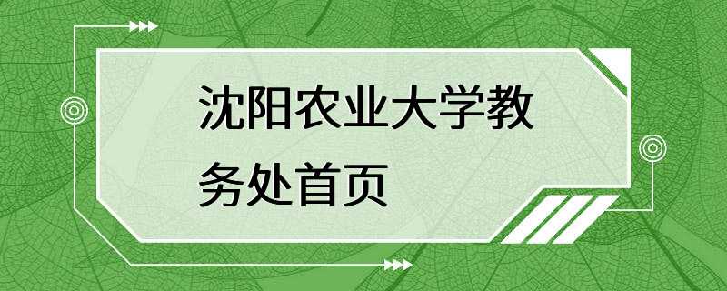 沈阳农业大学教务处首页