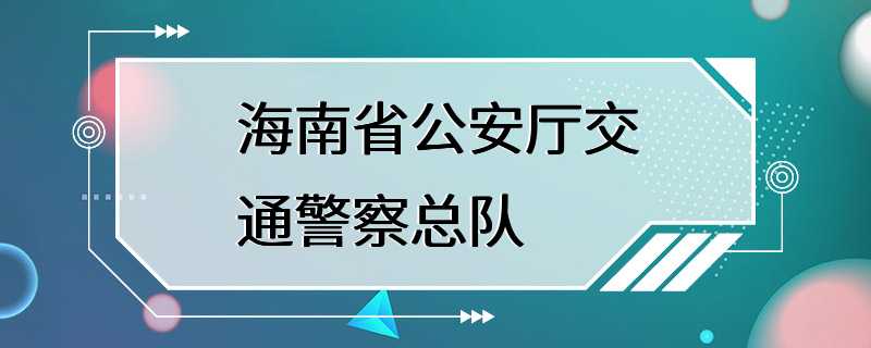 海南省公安厅交通警察总队