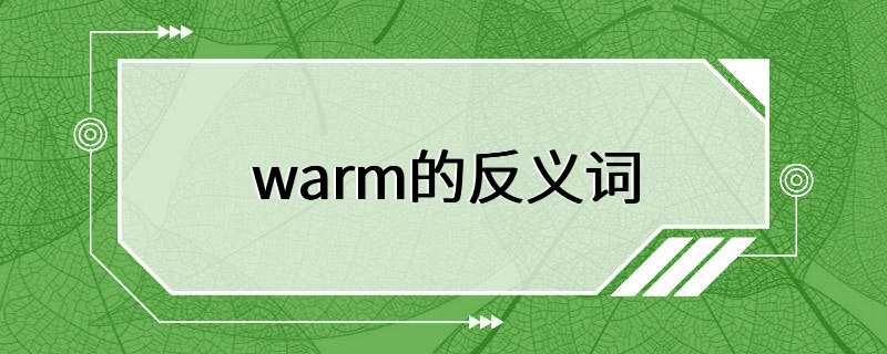 warm的反义词