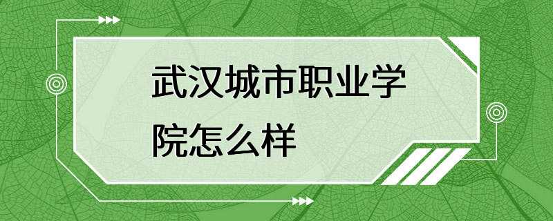 武汉城市职业学院怎么样