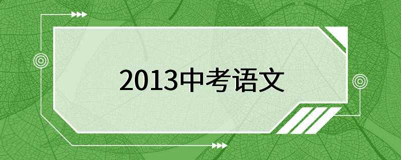 2013中考语文