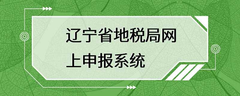 辽宁省地税局网上申报系统