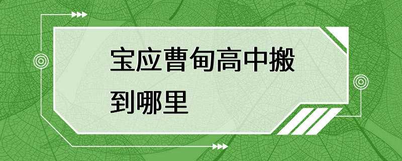 宝应曹甸高中搬到哪里