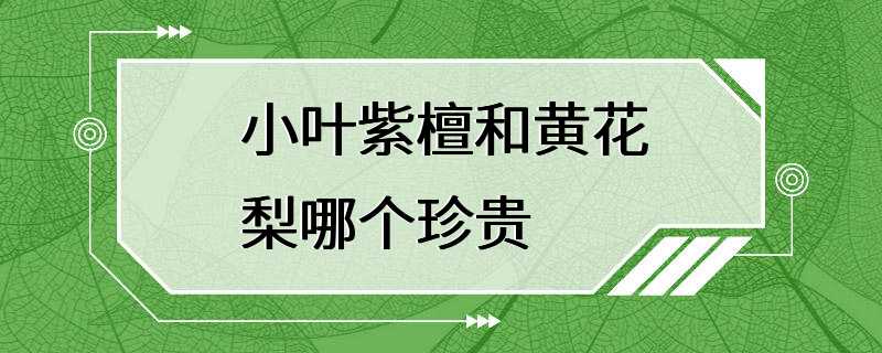 小叶紫檀和黄花梨哪个珍贵