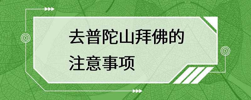 去普陀山拜佛的注意事项