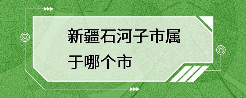 新疆石河子市属于哪个市