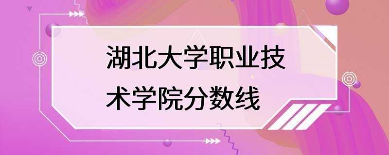 湖北大学职业技术学院分数线