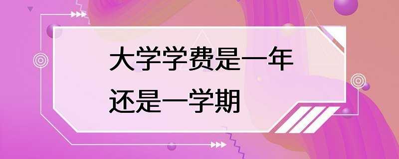 大学学费是一年还是一学期