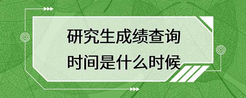 研究生成绩查询时间是什么时候