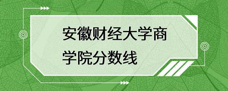 安徽财经大学商学院分数线