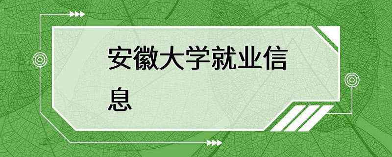 安徽大学就业信息