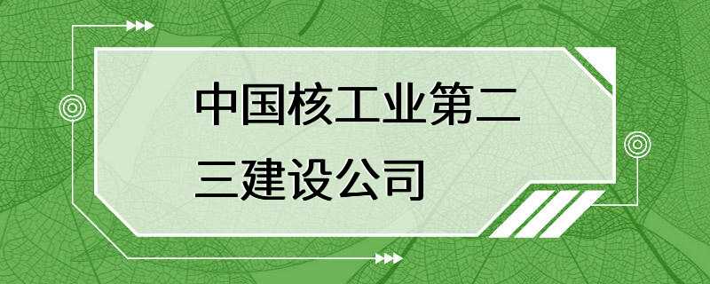 中国核工业第二三建设公司