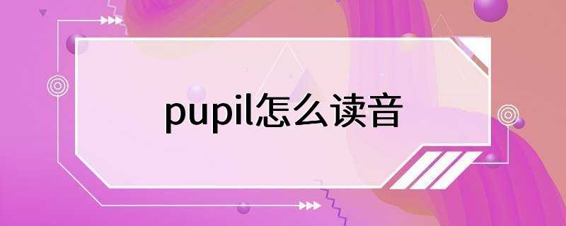 pupil怎么读音