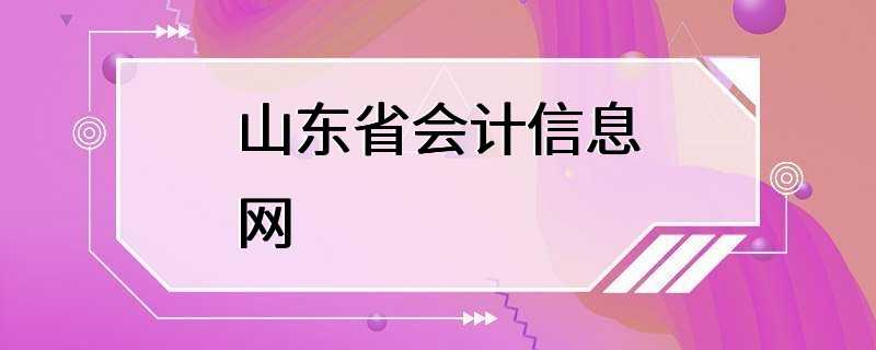 山东省会计信息网