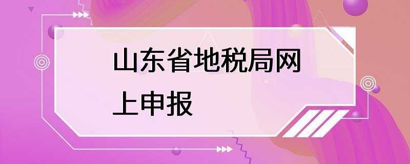 山东省地税局网上申报