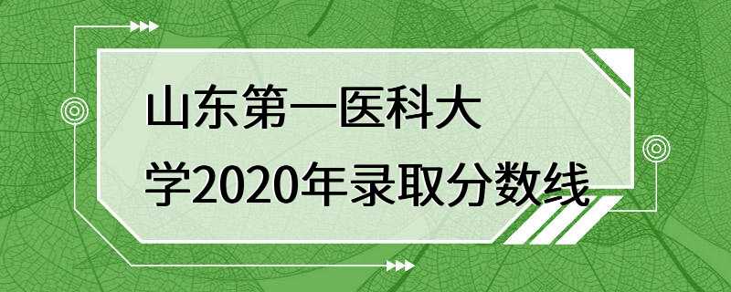 山东第一医科大学2020年录取分数线