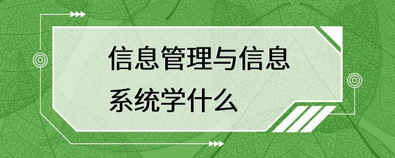 信息管理与信息系统学什么