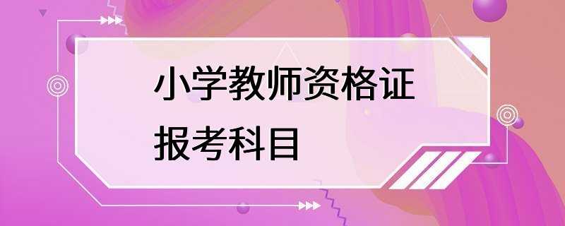 小学教师资格证报考科目