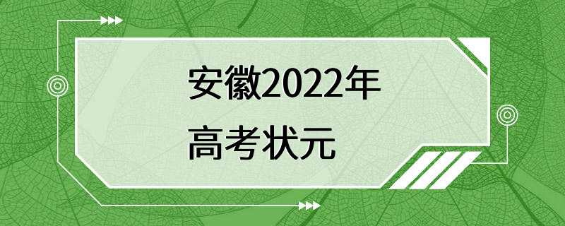 安徽2022年高考状元