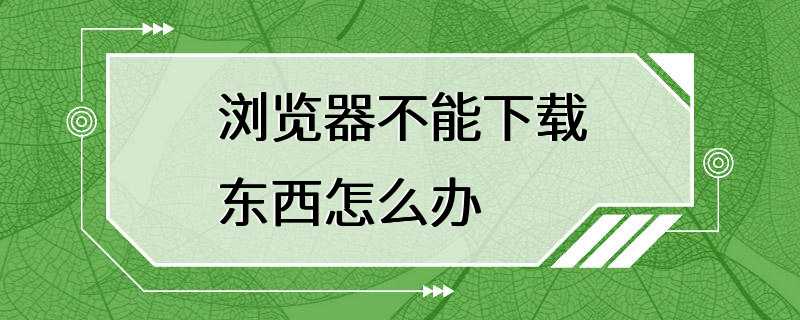 浏览器不能下载东西怎么办