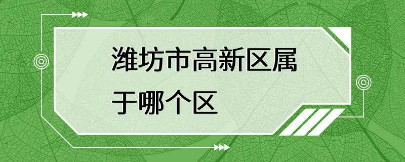 潍坊市高新区属于哪个区