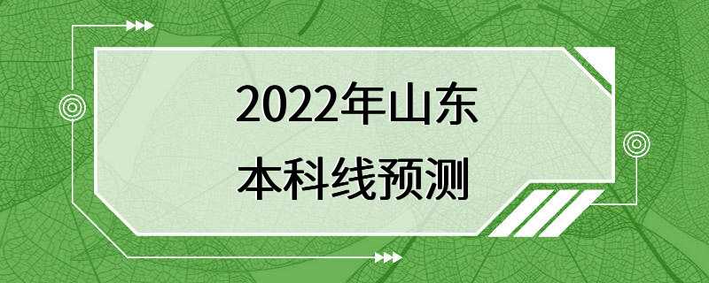 2022年山东本科线预测