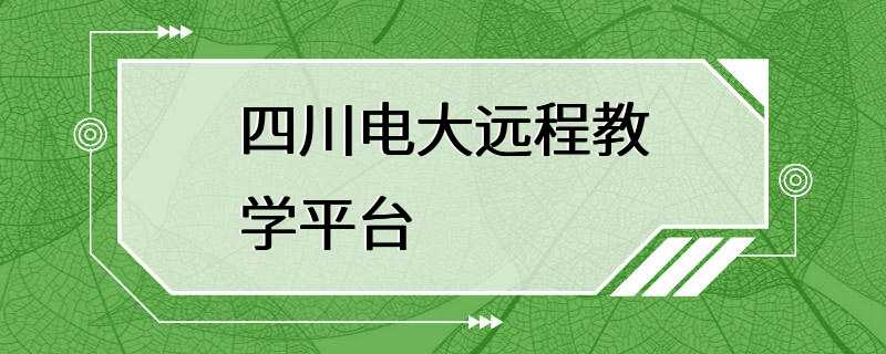 四川电大远程教学平台