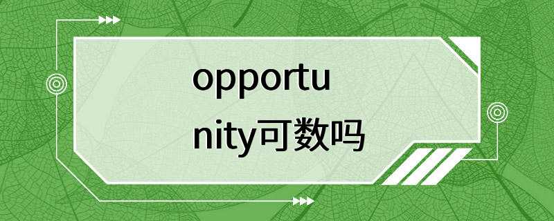 opportunity可数吗