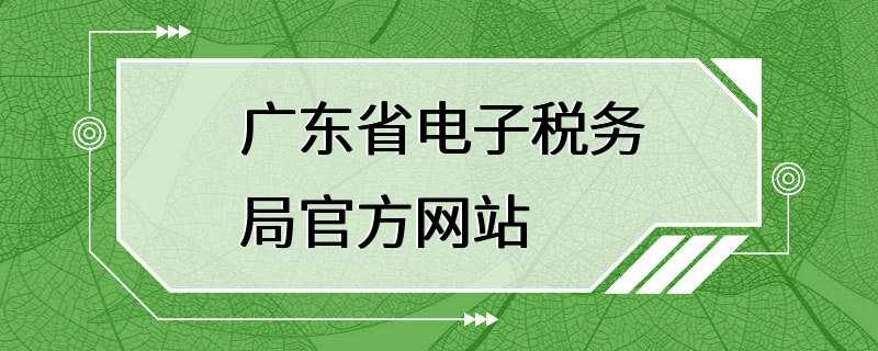 广东省电子税务局官方网站