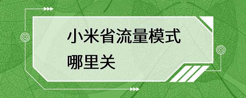 小米省流量模式哪里关