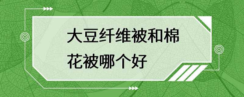 大豆纤维被和棉花被哪个好