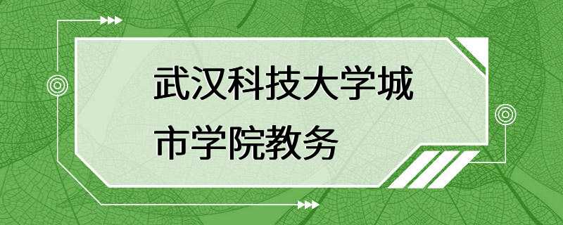 武汉科技大学城市学院教务