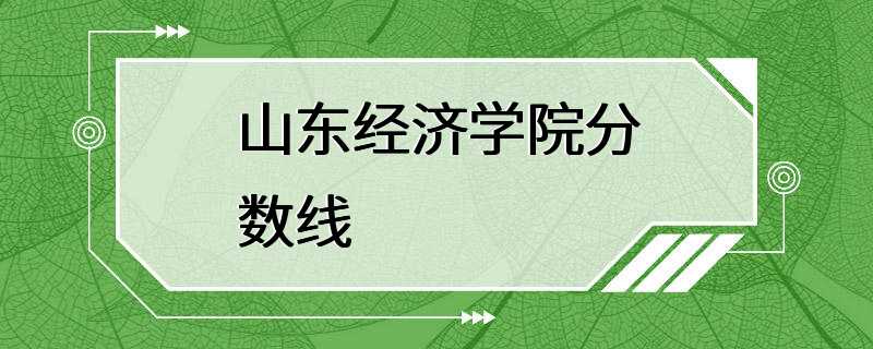 山东经济学院分数线