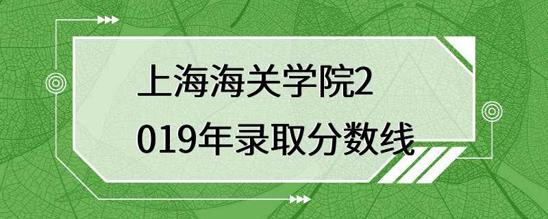 上海海关学院2019年录取分数线