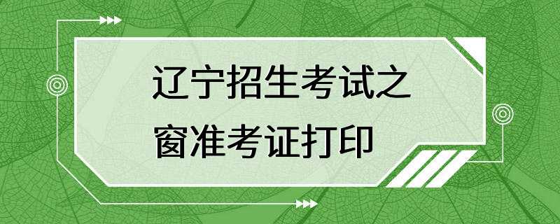 辽宁招生考试之窗准考证打印