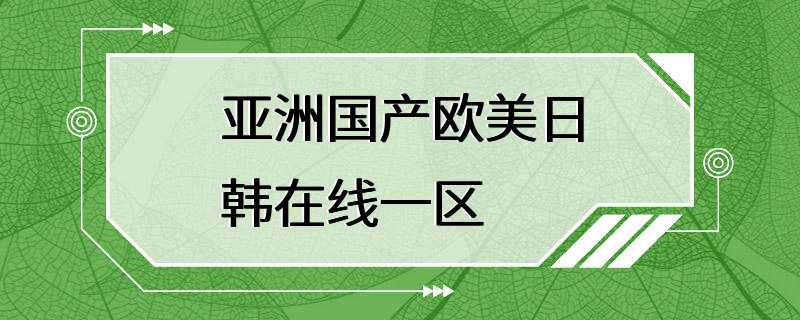 亚洲国产欧美日韩在线一区