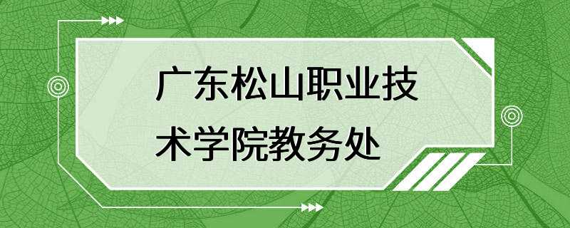 广东松山职业技术学院教务处