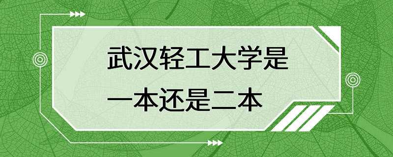 武汉轻工大学是一本还是二本