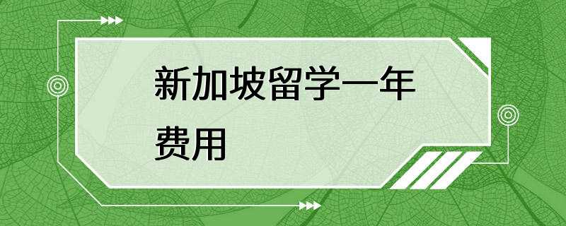 新加坡留学一年费用