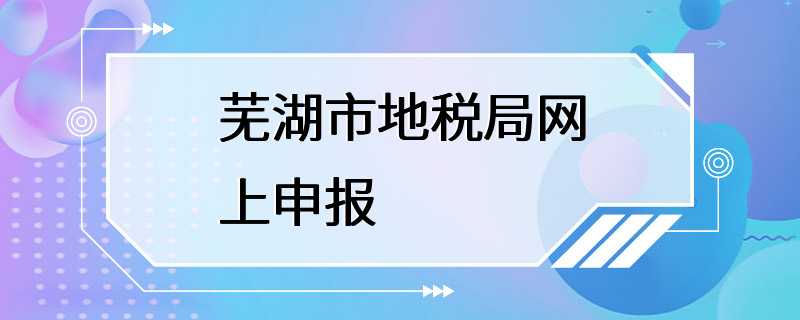 芜湖市地税局网上申报