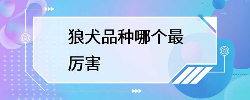 狼犬品种哪个最厉害