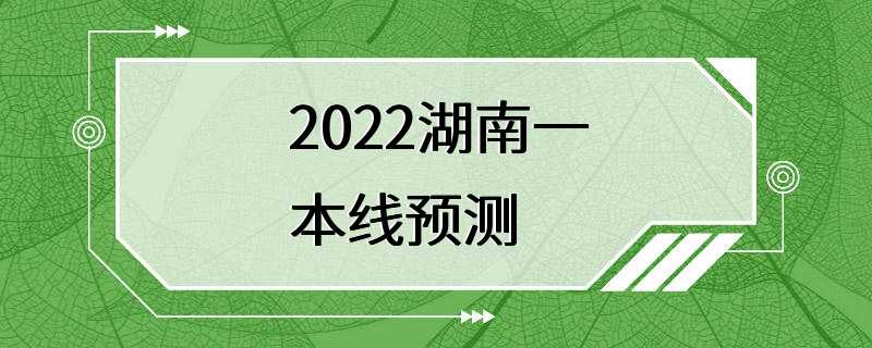 2022湖南一本线预测